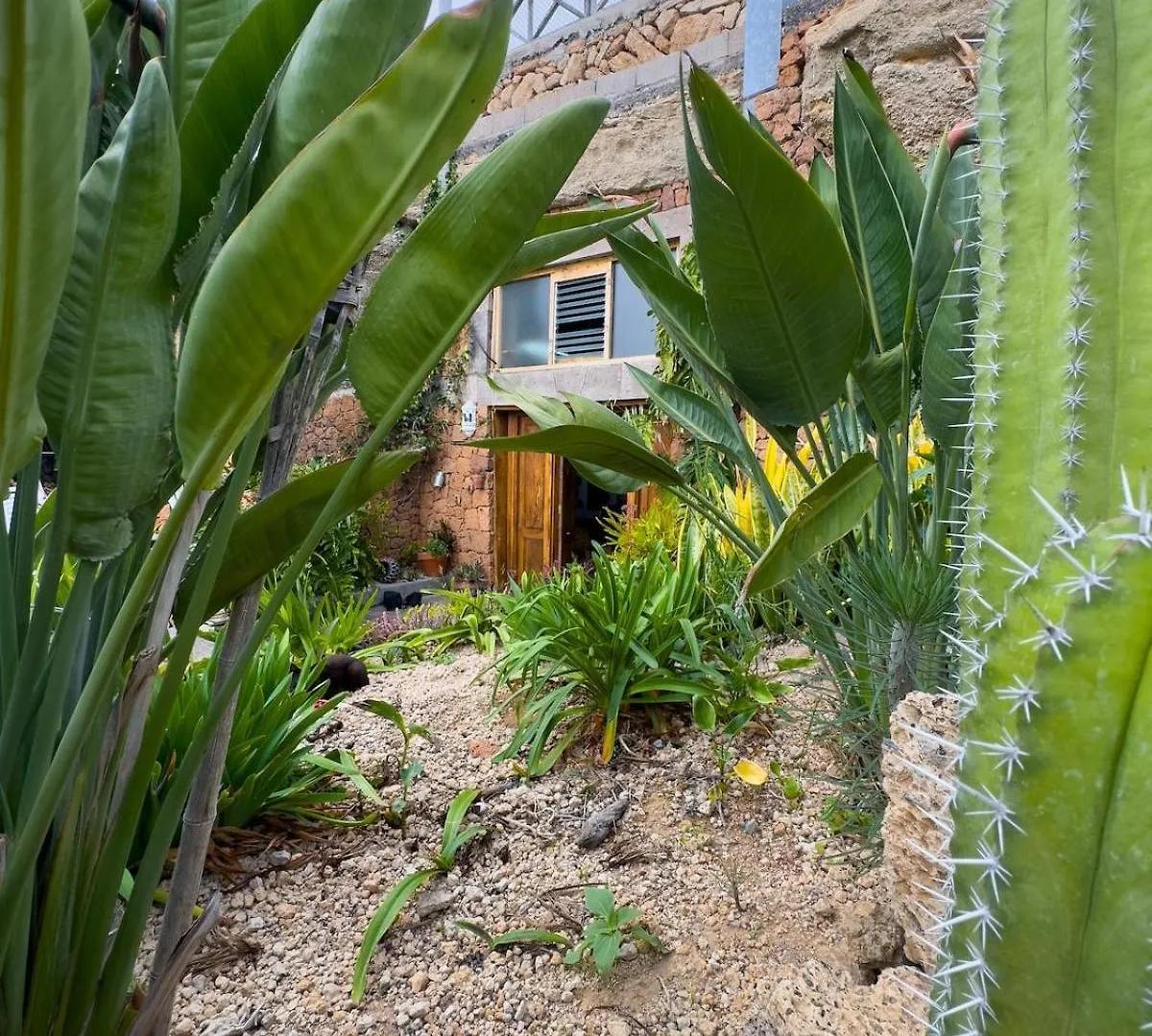Finca Olaya