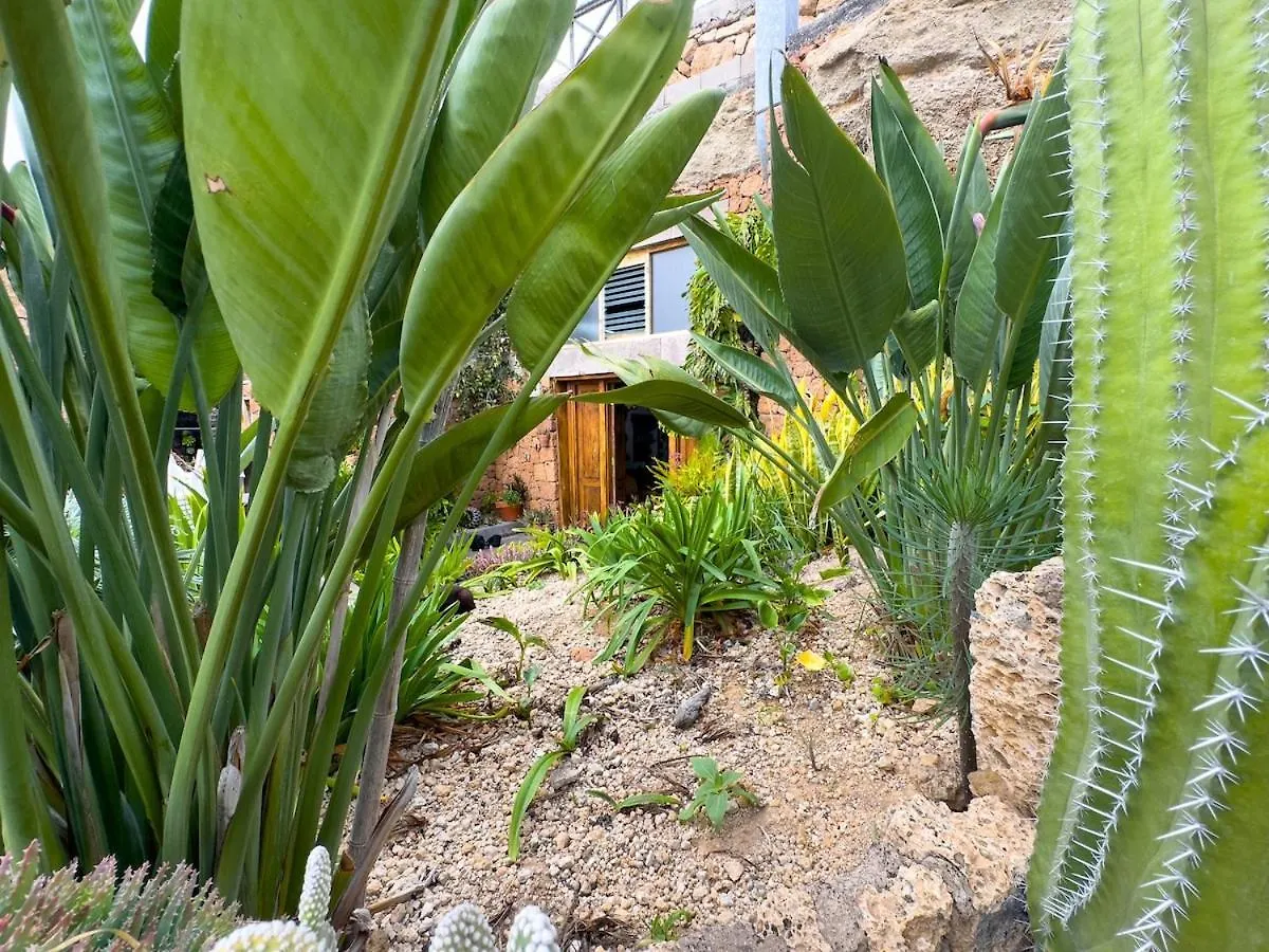 Finca Olaya 度假居