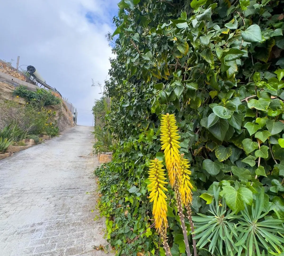 Finca Olaya 西班牙